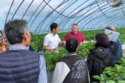경상남도농업기술원, 해외전문가에게 배우는 ‘시설딸기 양수분 관리 교육’ 실시