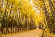 서울숲공원, 14번째 가을페스티벌 ‘작품명: 서울숲’ 개최