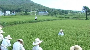 전승 사각지대에 놓인 한국 민속의 뿌리 지킨다