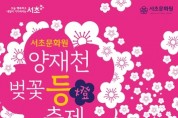 '양재천 벚꽃 등(燈) 축제' 3월 29∼31일 개최
