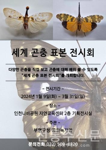인천나비공원서 '세계 곤충 표본 전시회' 개최.jpg